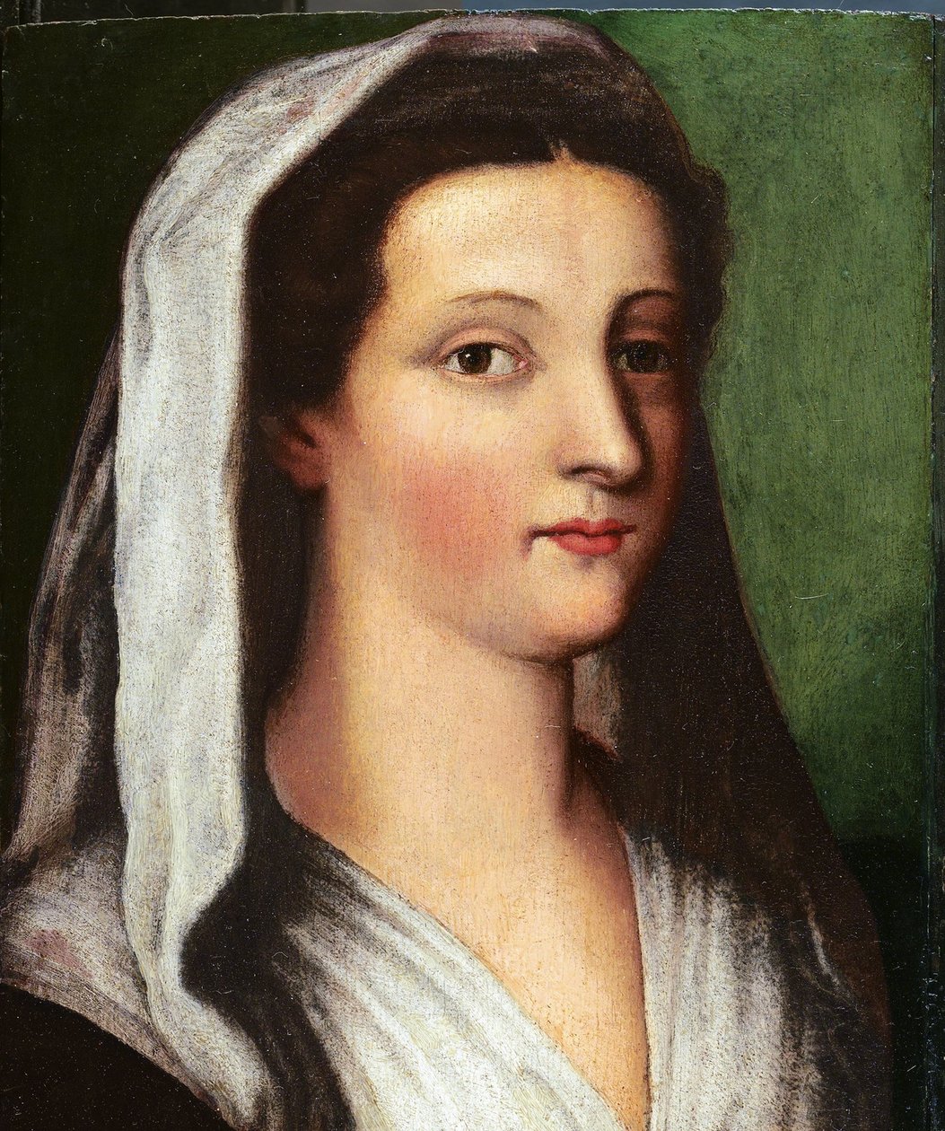Giulia Gonzagan muotokuva, 1500-luku tekijältä Sebastiano del, Piombo