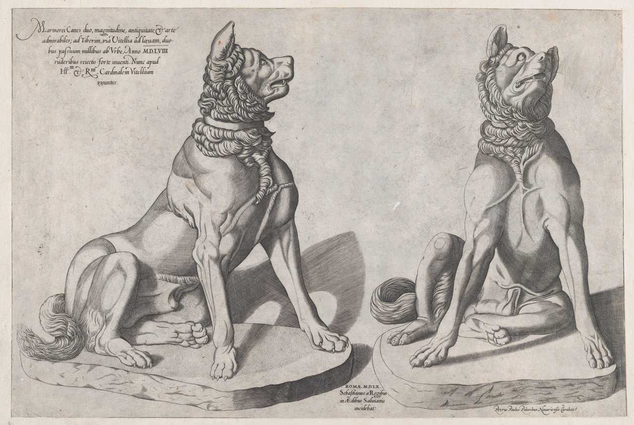 Rooman loiston peili: Kaksi koiraa, 1558, 1558. tekijältä Sebastiano di Re