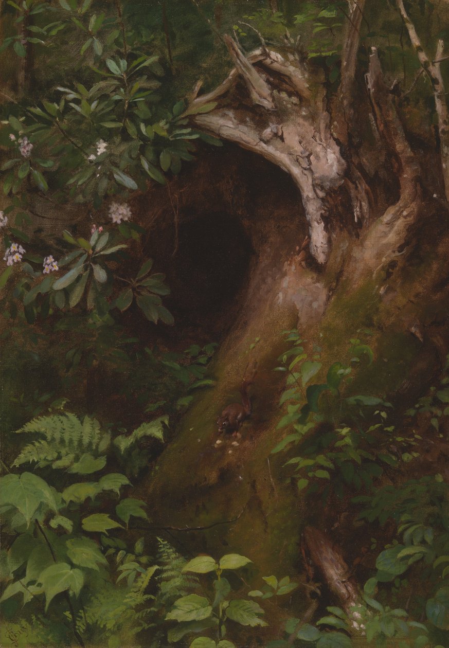 Orava, 1860-70-luku. tekijältä Seymour Joseph Guy