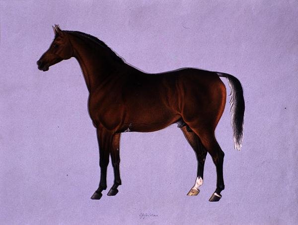 Oppidan, n. 1840 (akvarelli paperille) tekijältä Shaik Muhammad Amir of Karraya