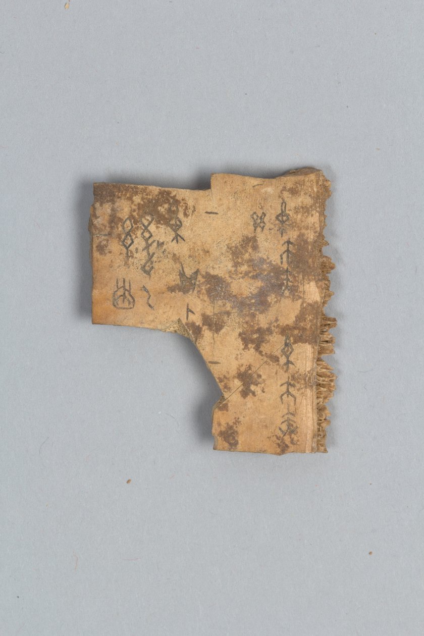 Taisteluluun fragmentti (kuori) tekijältä Shang Dynasty Chinese School