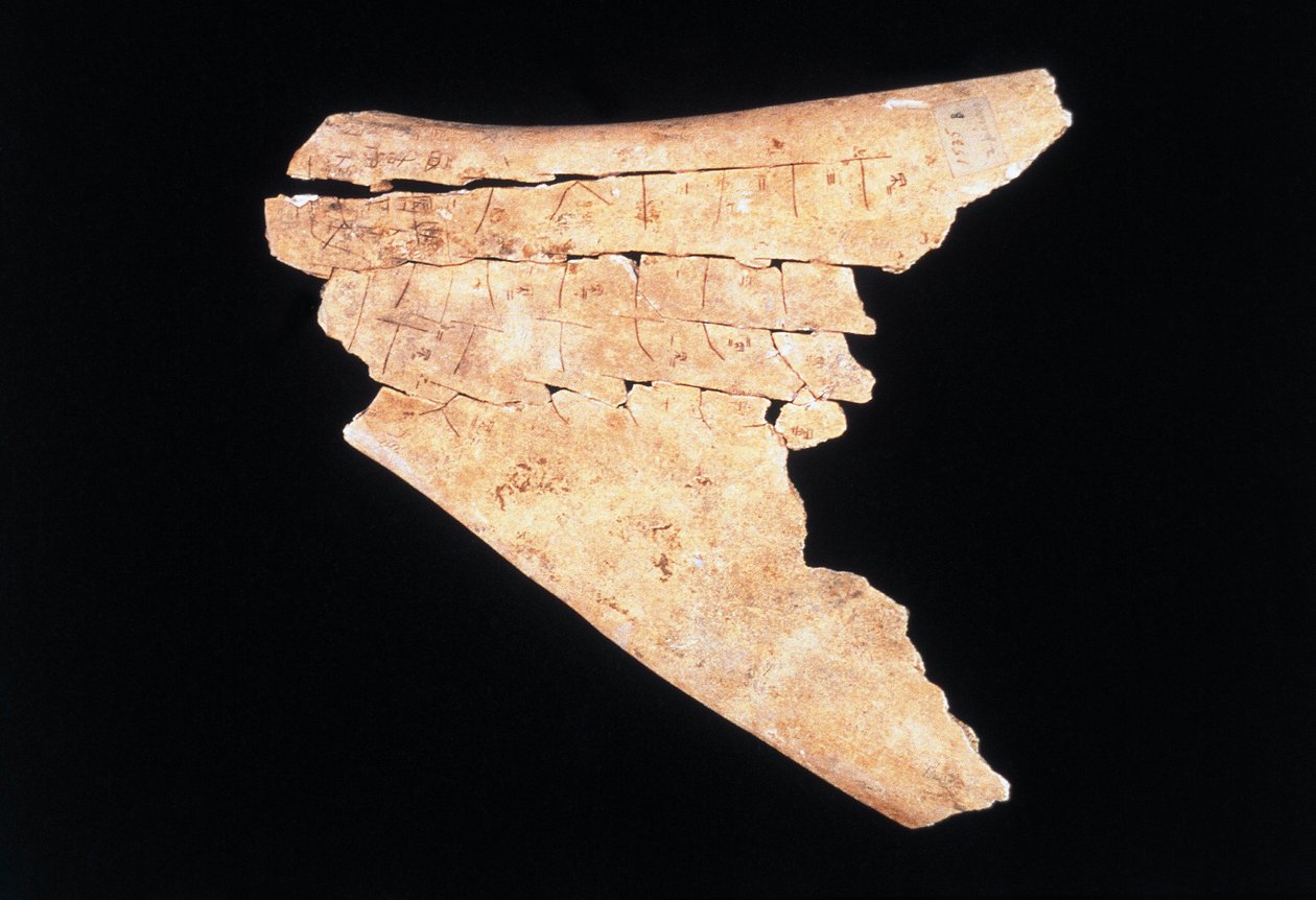 Piktogrammi härän lapaluun rituaalilla vaaran torjumiseksi (luu) tekijältä Shang Dynasty Chinese School