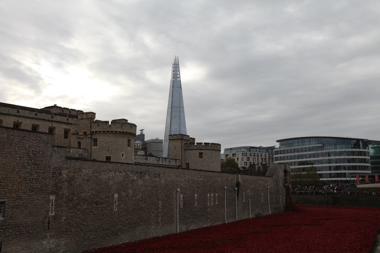 Blood Swept Lands and Seas of Red, Tower of London, 2014. tekijältä Sheldon Marshall