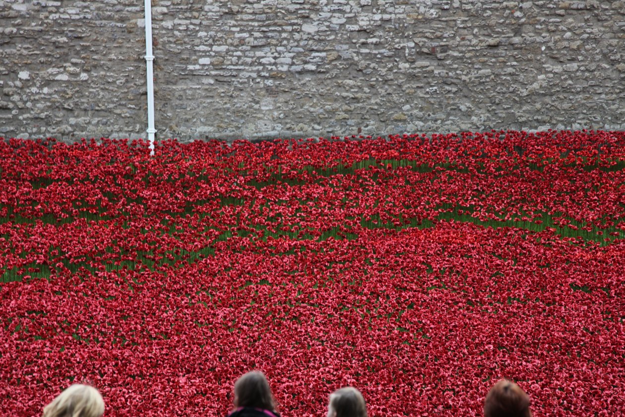 Blood Swept Lands and Seas of Red, Tower of London, 2014. tekijältä Sheldon Marshall