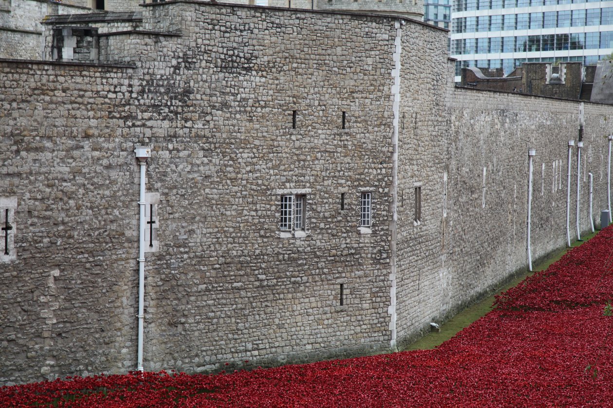 Blood Swept Lands and Seas of Red, Tower of London, 2014. tekijältä Sheldon Marshall