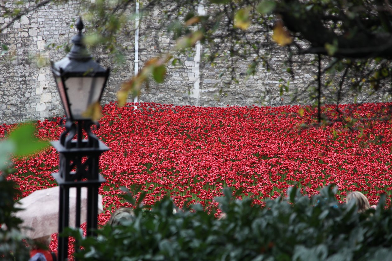 Blood Swept Lands and Seas of Red, Tower of London, 2014. tekijältä Sheldon Marshall