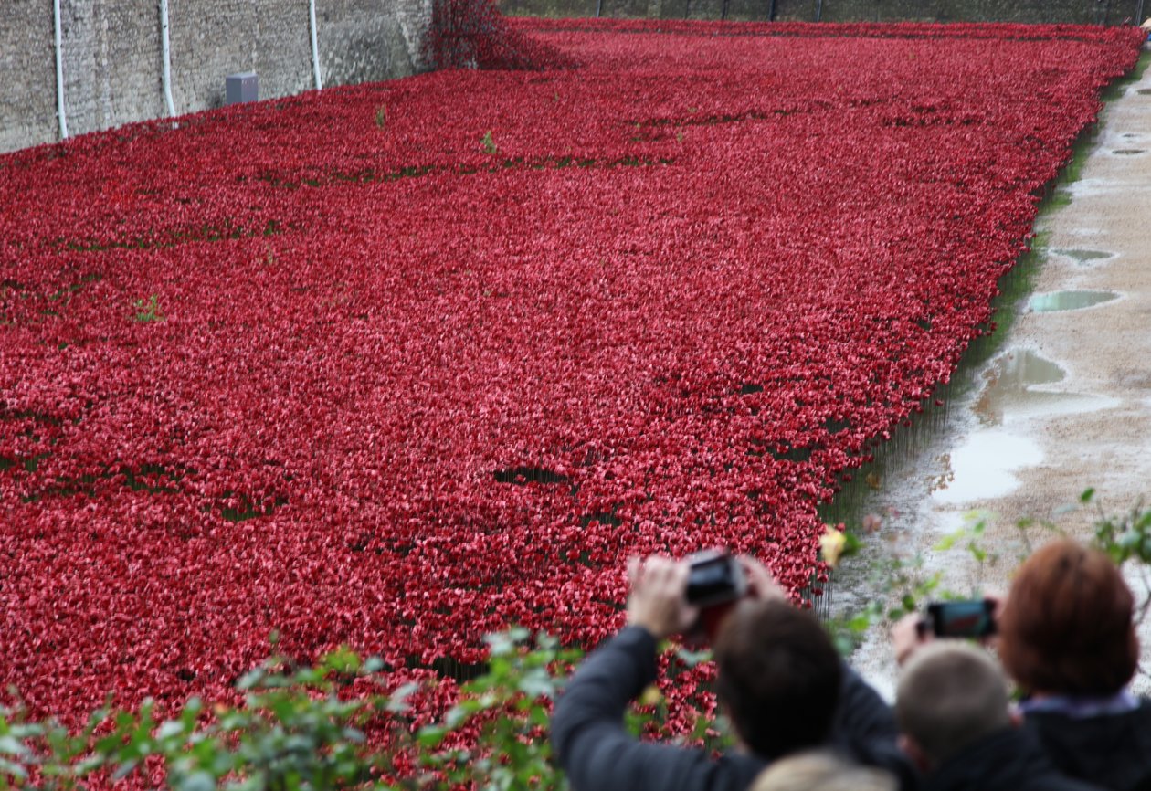 Blood Swept Lands and Seas of Red, Tower of London, 2014. tekijältä Sheldon Marshall