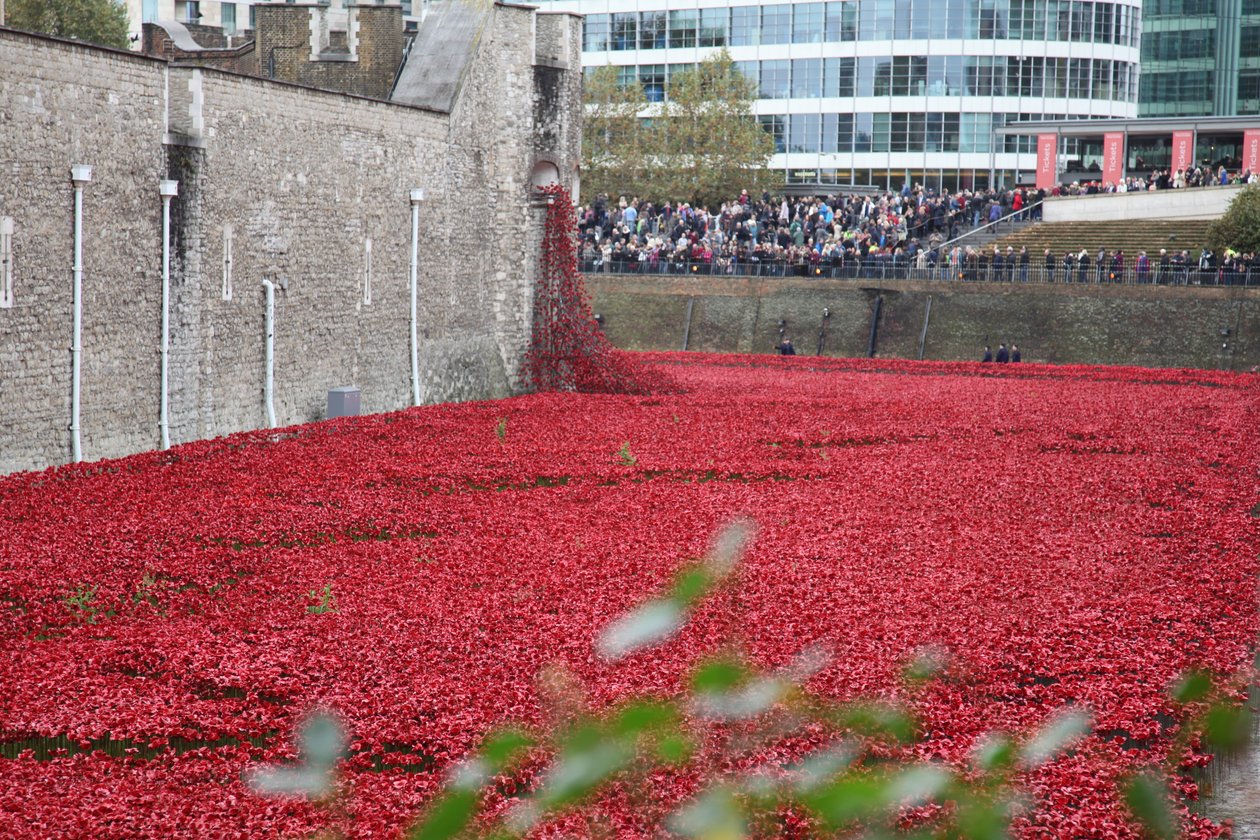 Blood Swept Lands and Seas of Red, Tower of London, 2014. tekijältä Sheldon Marshall