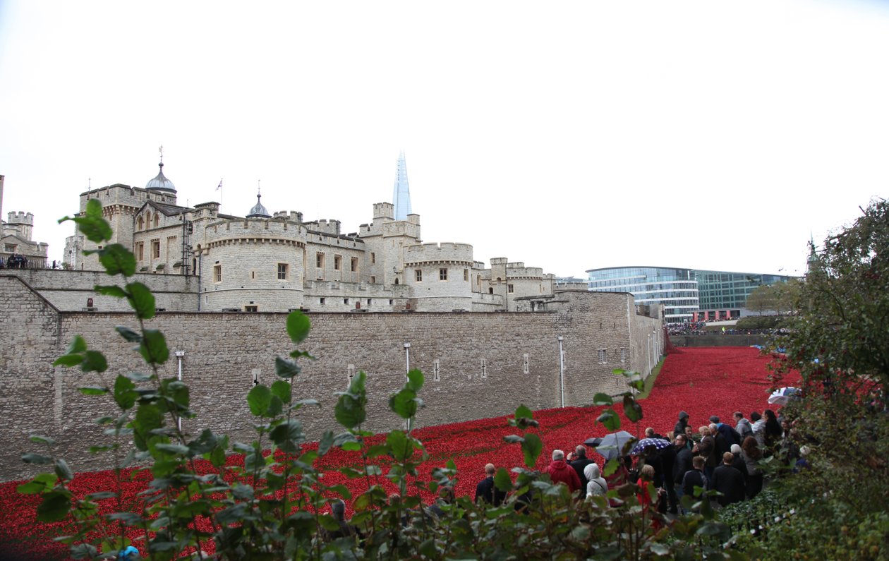 Blood Swept Lands and Seas of Red, Tower of London, 2014. tekijältä Sheldon Marshall