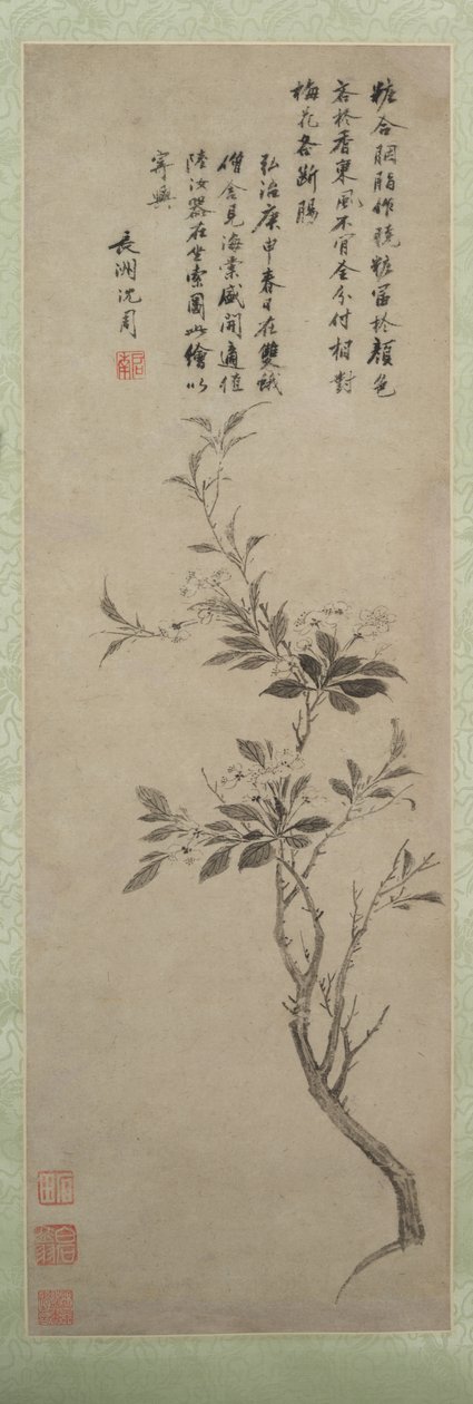 Kukkiva rapuomena, 1500. tekijältä Shen Zhou