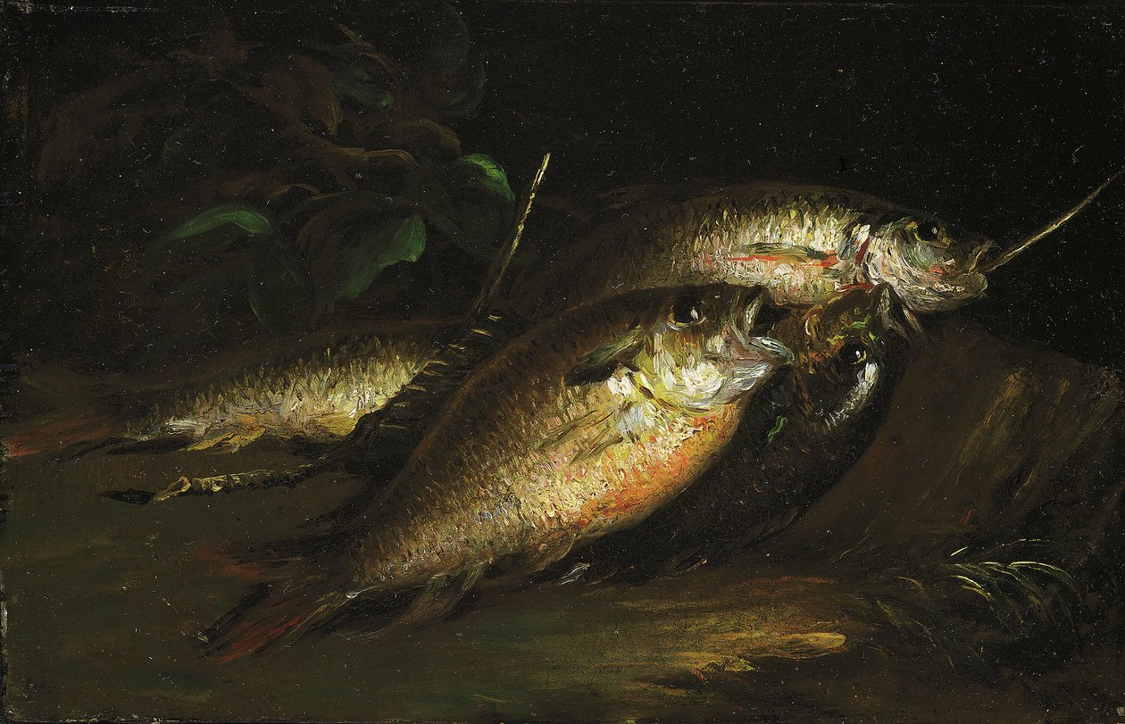 Kala, 1842. tekijältä Shepard Alonzo Mount