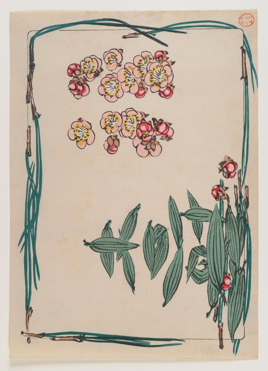 Kirsikankukat mäntyneulareunuksella sarjasta Hana Kurabe, n. 1880 (puupalikkaväripainatus) tekijältä Shibata Zeshin