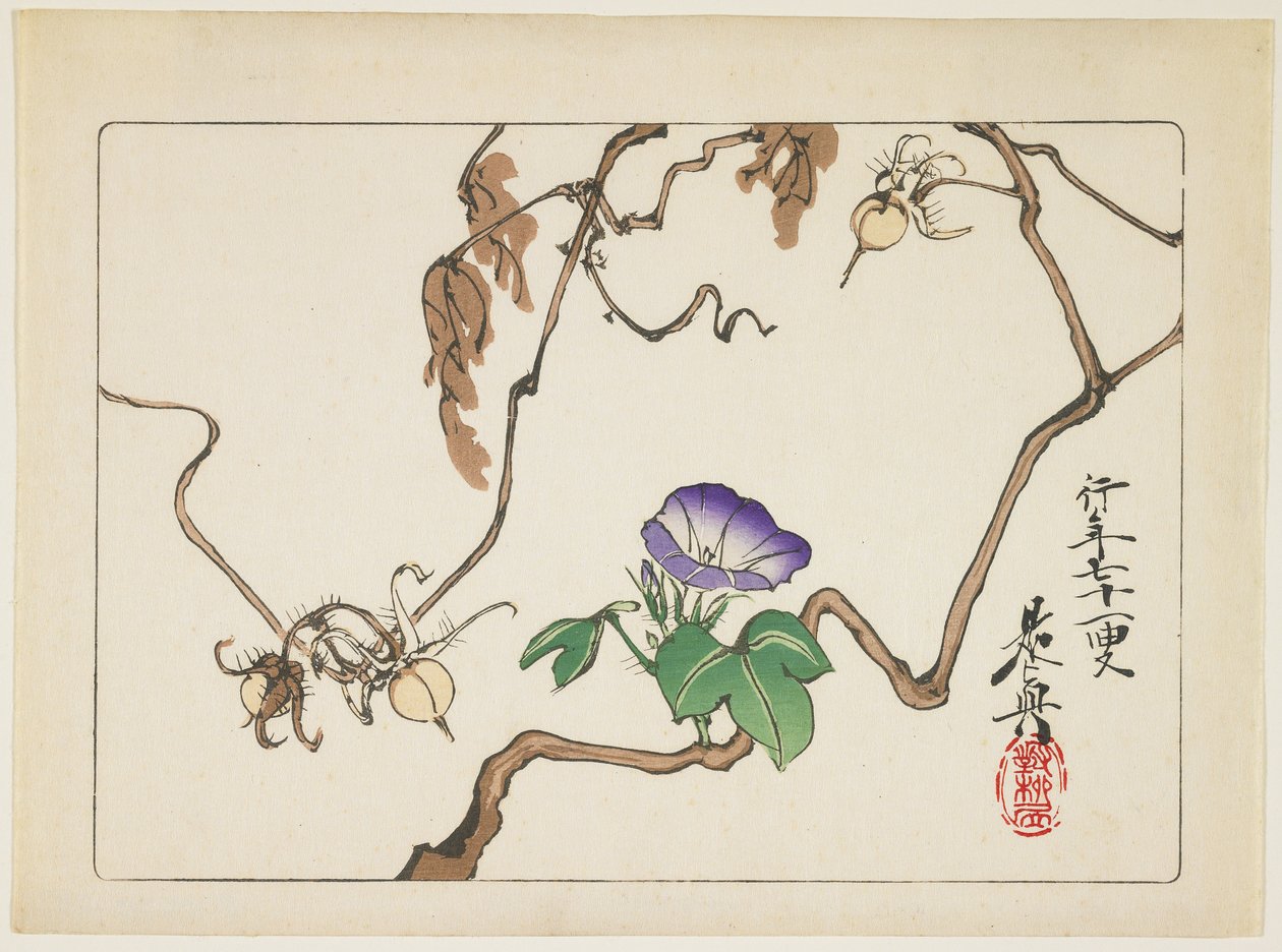 Vine and Seeds of Morning Glory, 1877 tekijältä Shibata Zeshin