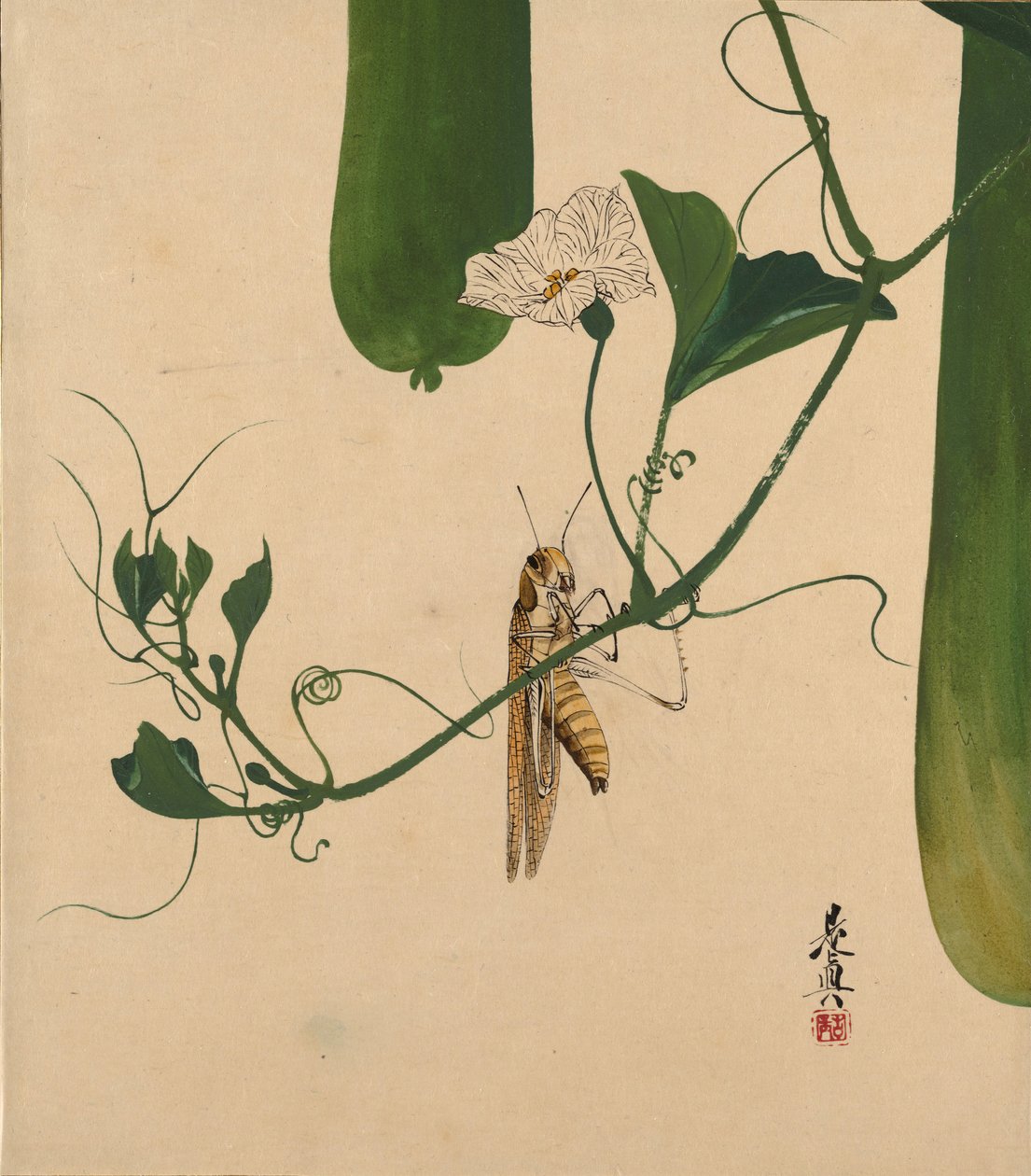 Lakkamaalauksia eri aiheista: Grasshopper on Gourd Vine, 1882. tekijältä Shibata Zeshin
