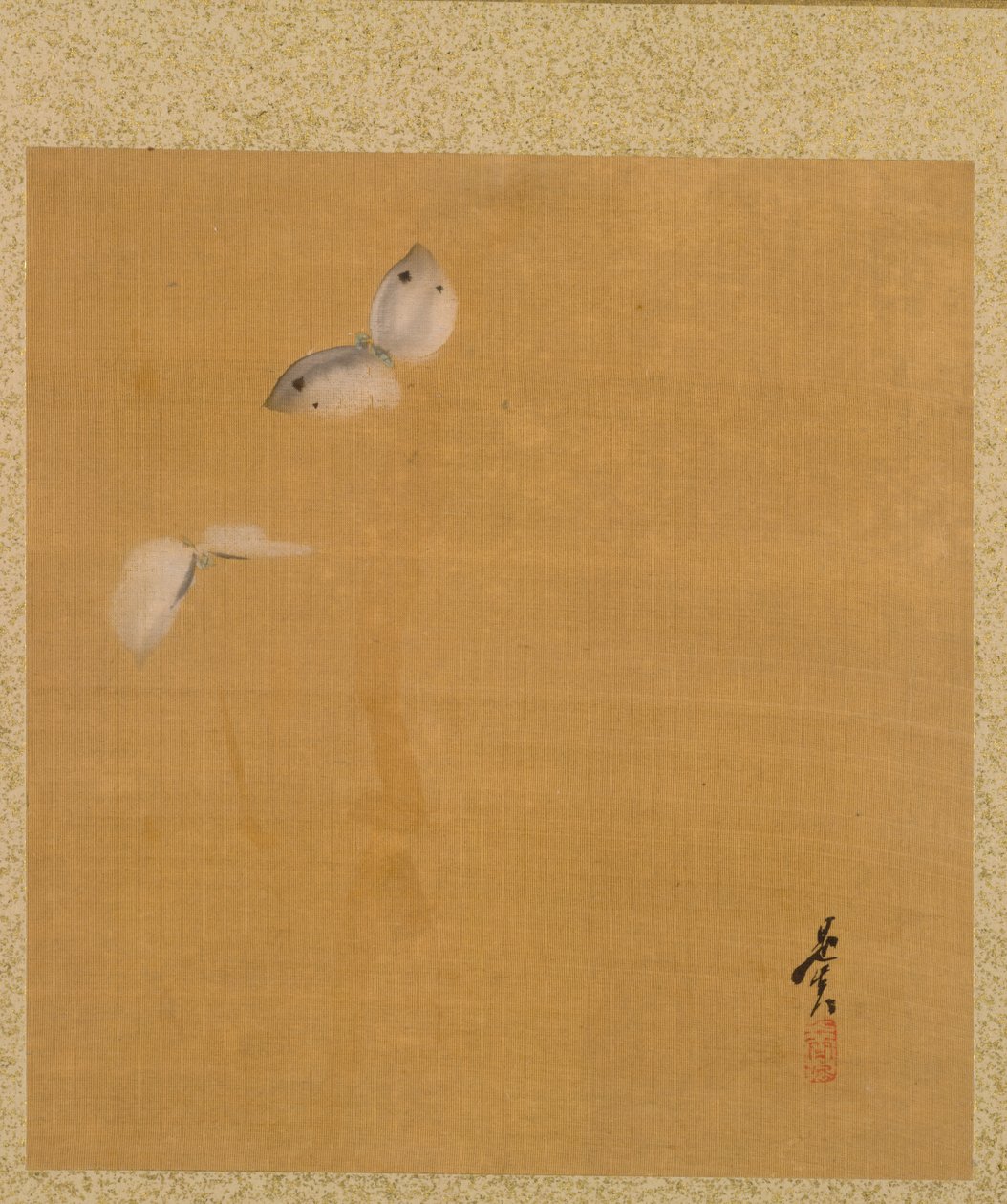 Moths from the Album of Paintings by the Venerable Zeshin tekijältä Shibata Zeshin