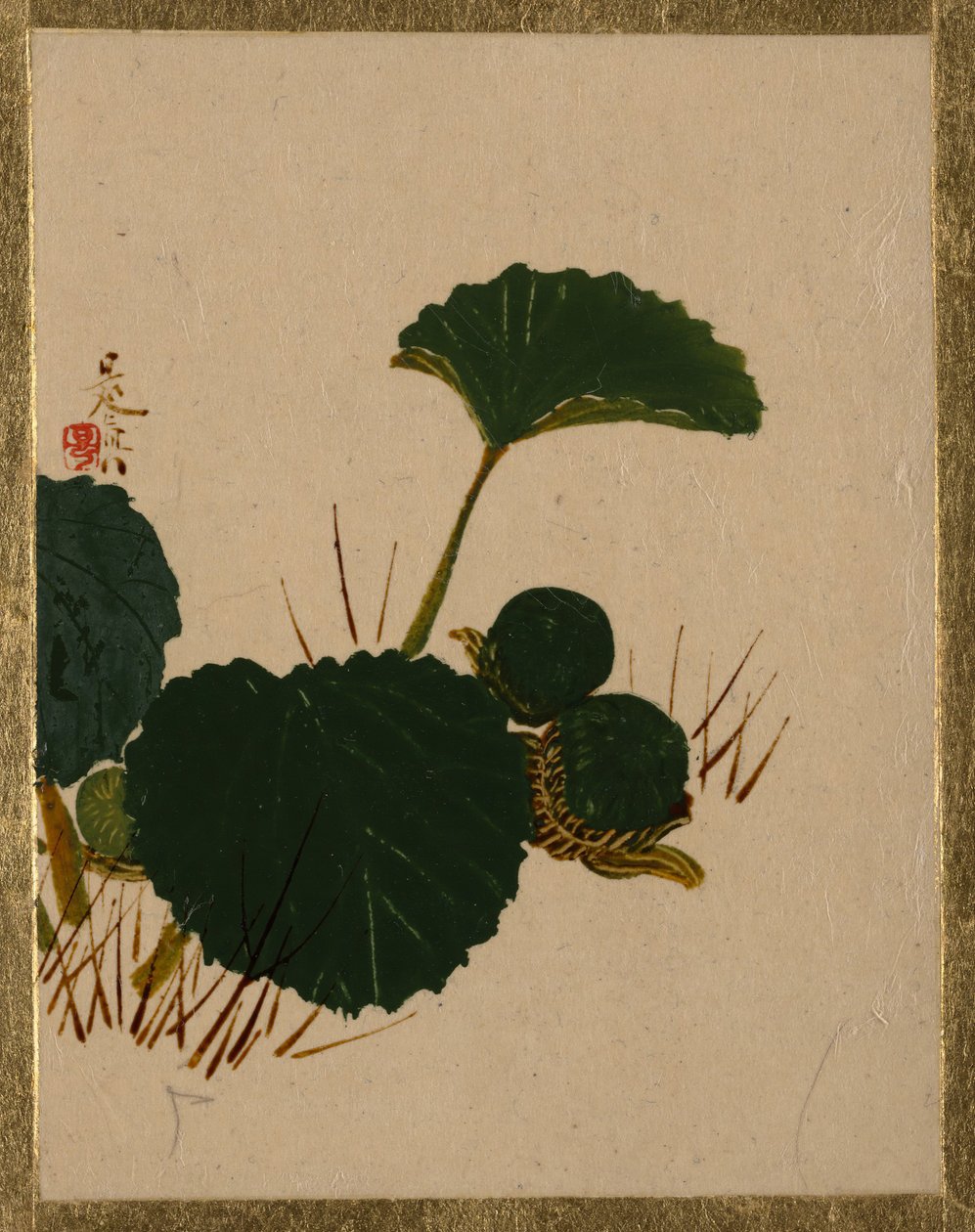 Cuc a la planta de fulles verdes. finlandès tekijältä Shibata Zeshin