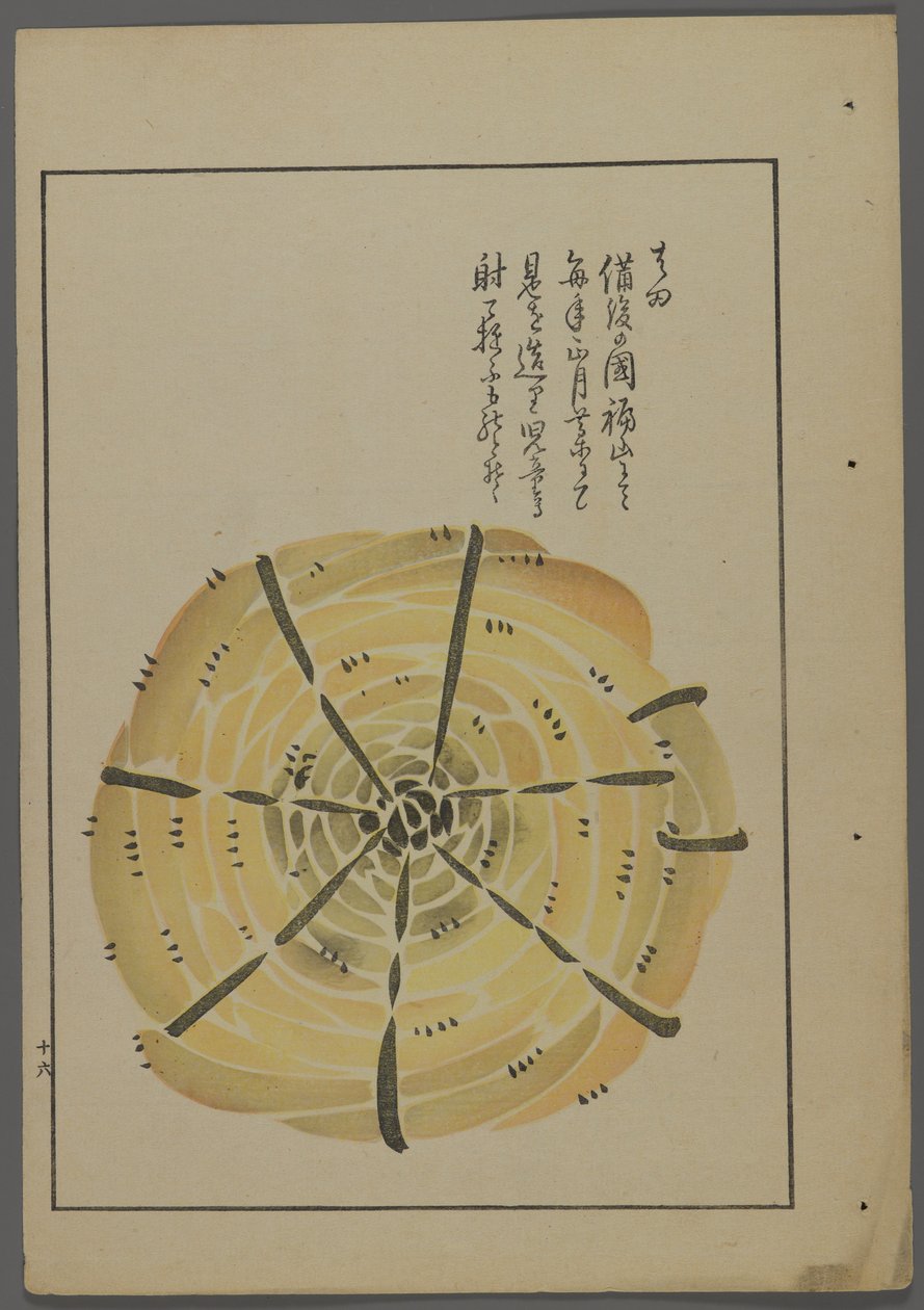 Japanilaiset lelut, Shimizu Seifun Unai no tomo (A Childs Friends), 1891-1923. Köyden väkipyörä. tekijältä Shimizu Seifu