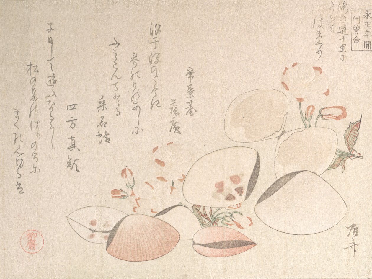 Kirsikankukat ja kuoret, 1800-luku, 1800-luku. tekijältä Shinsai