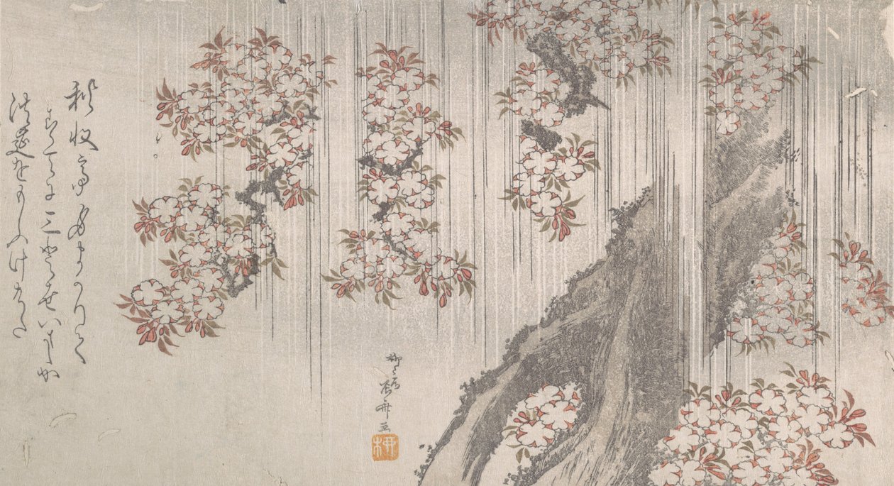 Kirsikankukkia sateessa, 1800-luku, 1800-luku. tekijältä Shinsai