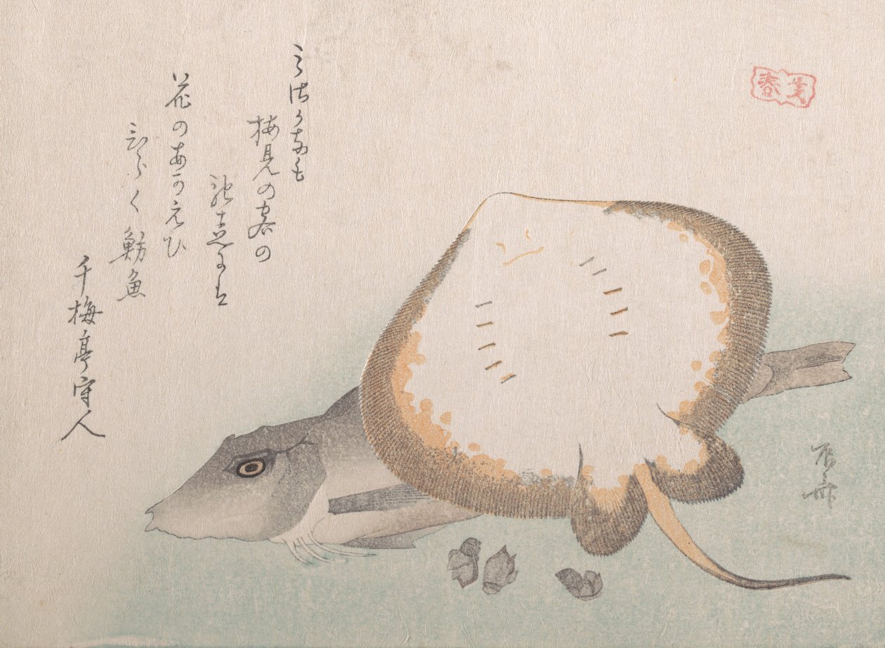 Stingray ja Gurnard, luultavasti 1815, luultavasti 1815. tekijältä Shinsai