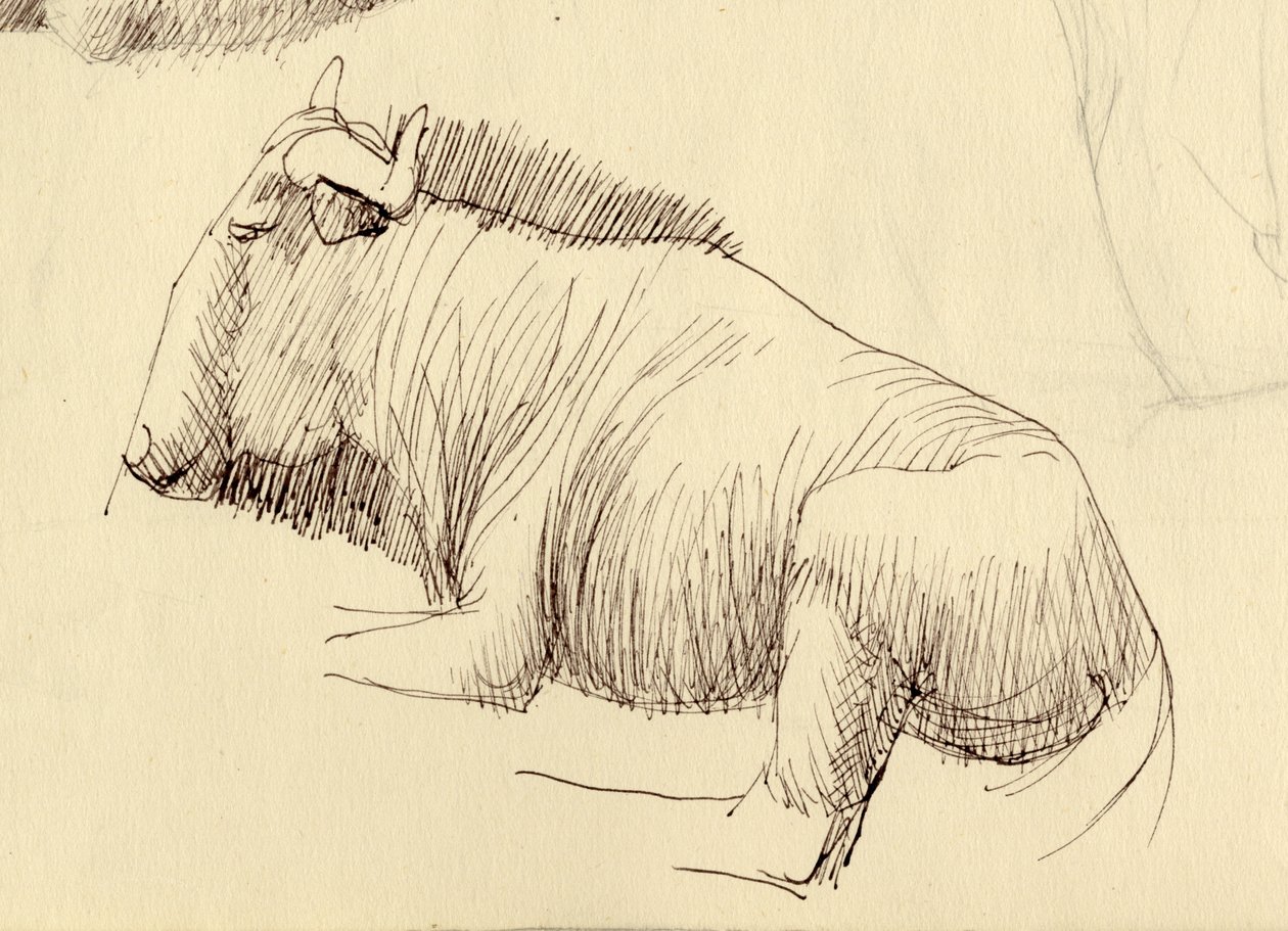 Gnu, 1951. tekijältä Shirley Markham