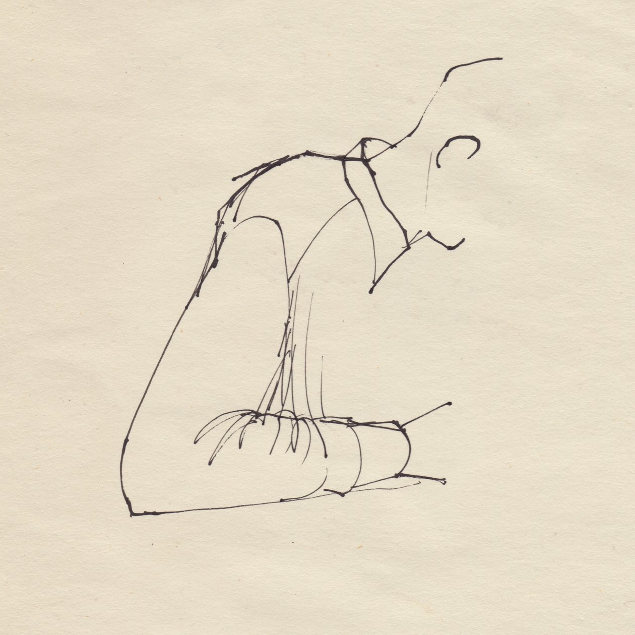 Miehen käsivarsi, 1950. tekijältä Shirley Markham