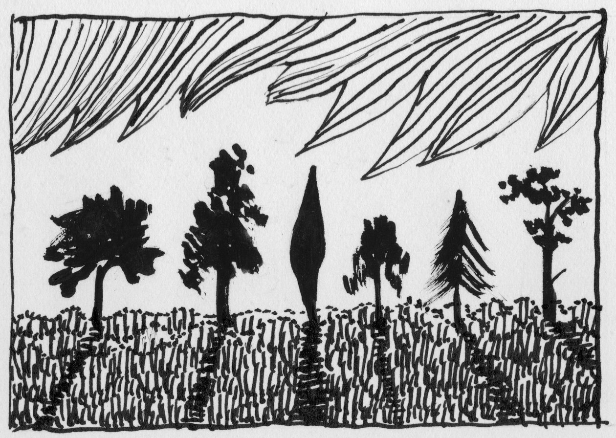 Puut, 1951. tekijältä Shirley Markham