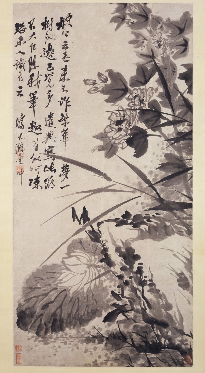 Hibiscus, Lotus ja Rock, n. 1705-7. tekijältä Shitao