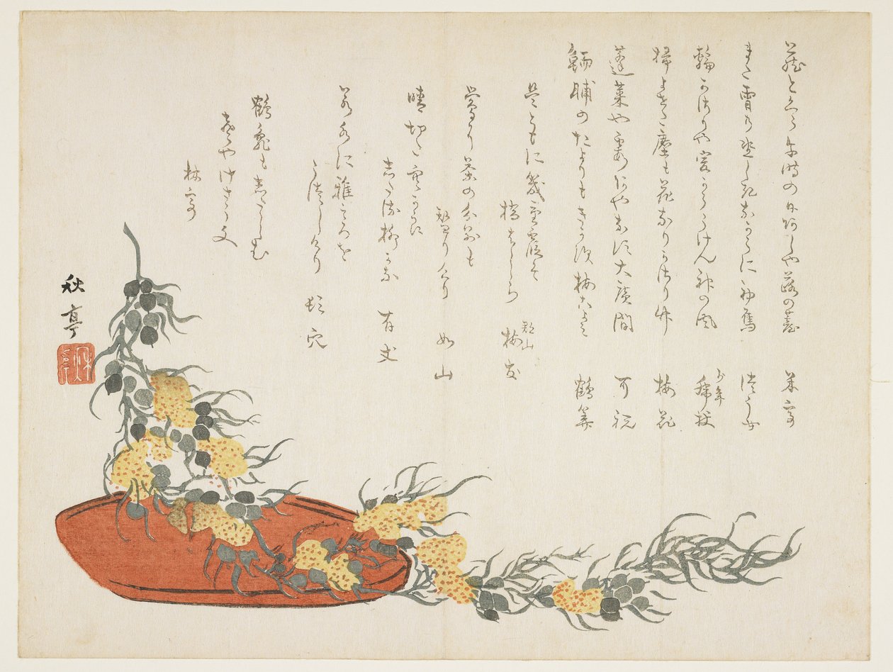 (Vine streamer), c. 1854-1859 tekijältä Shûtei Tanaka