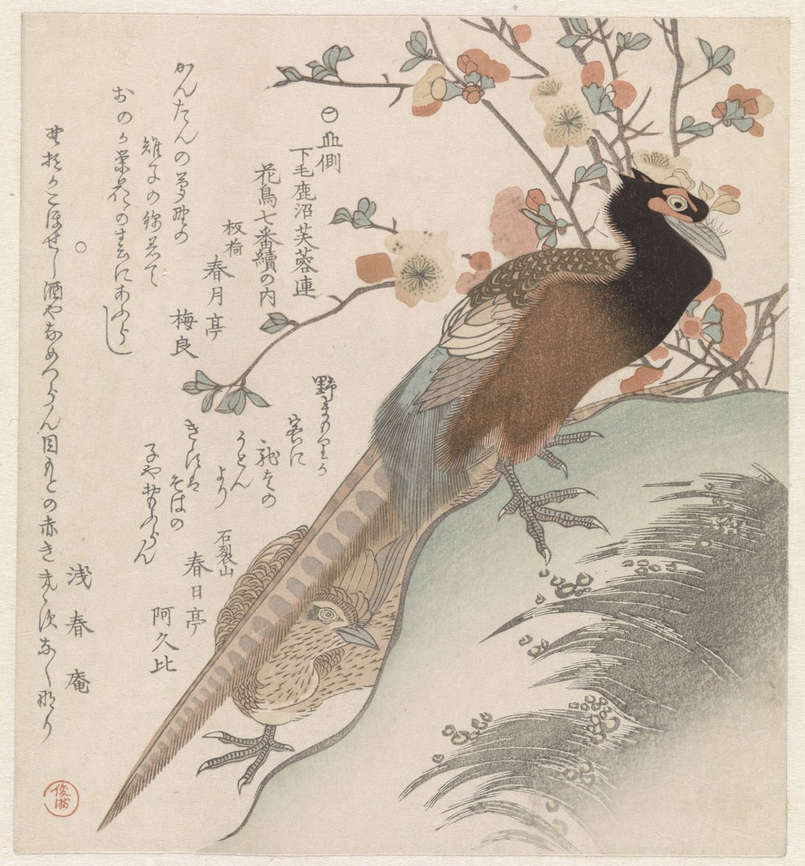 Fasaanit kukkaoksaksi Seitsemän lintu- ja kukkakuvaa Kanuman Fuyôren Poetry Societylle Shimotsuken maakunnasta (sarjan nimi) Yamagawa Shimotsuke Kanuma Fuyôren kachô shichiban tsuzuki no uchi (sarjan nimi esineessä) tekijältä Shunman