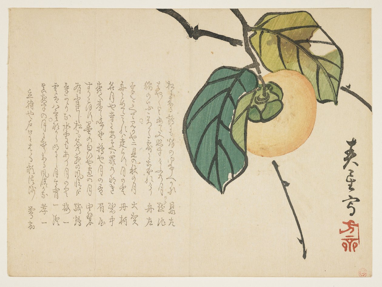 Kaki, n. 1854-1859 (värillinen puupainatus) tekijältä Shunsei