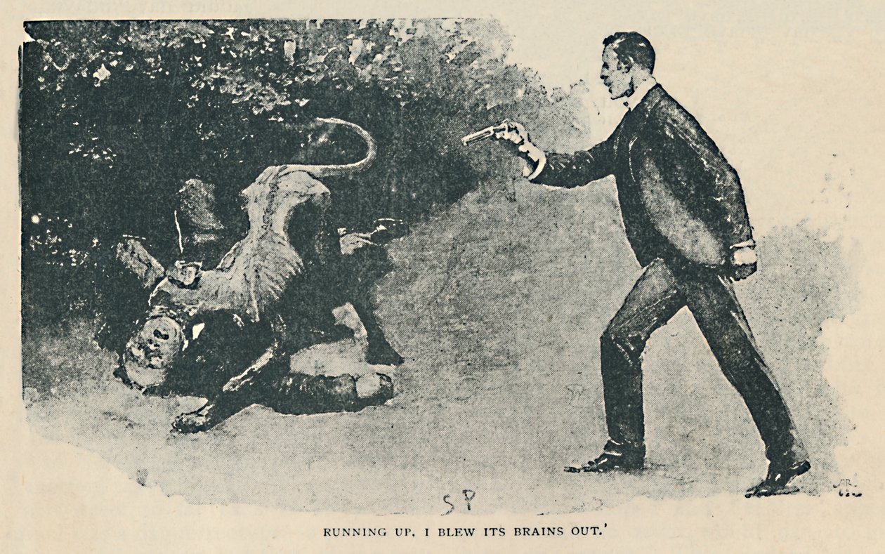 Running Up. I Blew It Brains Out, 1892 tekijältä Sidney Paget