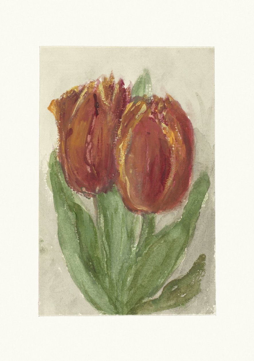 Kaksi punaista tulppaania tekijältä Sientje Mesdag van Houten
