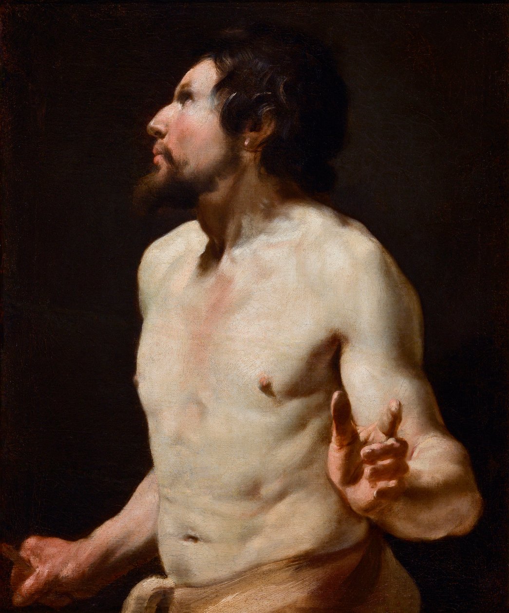 Tutkimus torsomaalauksesta Simon Vouetin koulusta (1590-1649) (maalaus) tekijältä Simon (circle of) Vouet