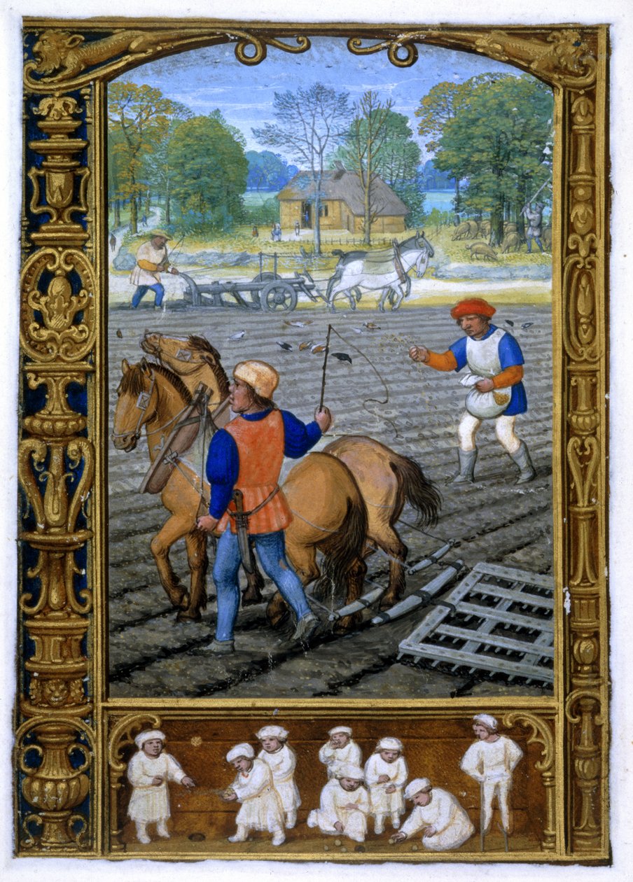 Lisätä. 24098, f.26v syyskuu: Kyntö ja kylvö, tuntikirjasta tai golfkirjasta, n. 1520-30 (vellum) tekijältä Simon (workshop of) Bening