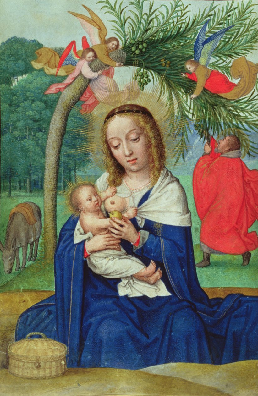 The Rest on the Flight to Egypt, miniatyyri Norfolkin tuntikirjasta (vellum) tekijältä Simon Bening