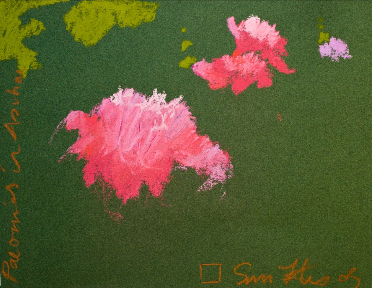 Pionit Aschauissa (pastelli paperille) tekijältä Simon Fletcher