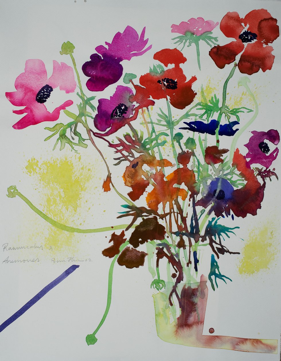 Ranunculus  anemones, 2010 (akvarelli) tekijältä Simon Fletcher