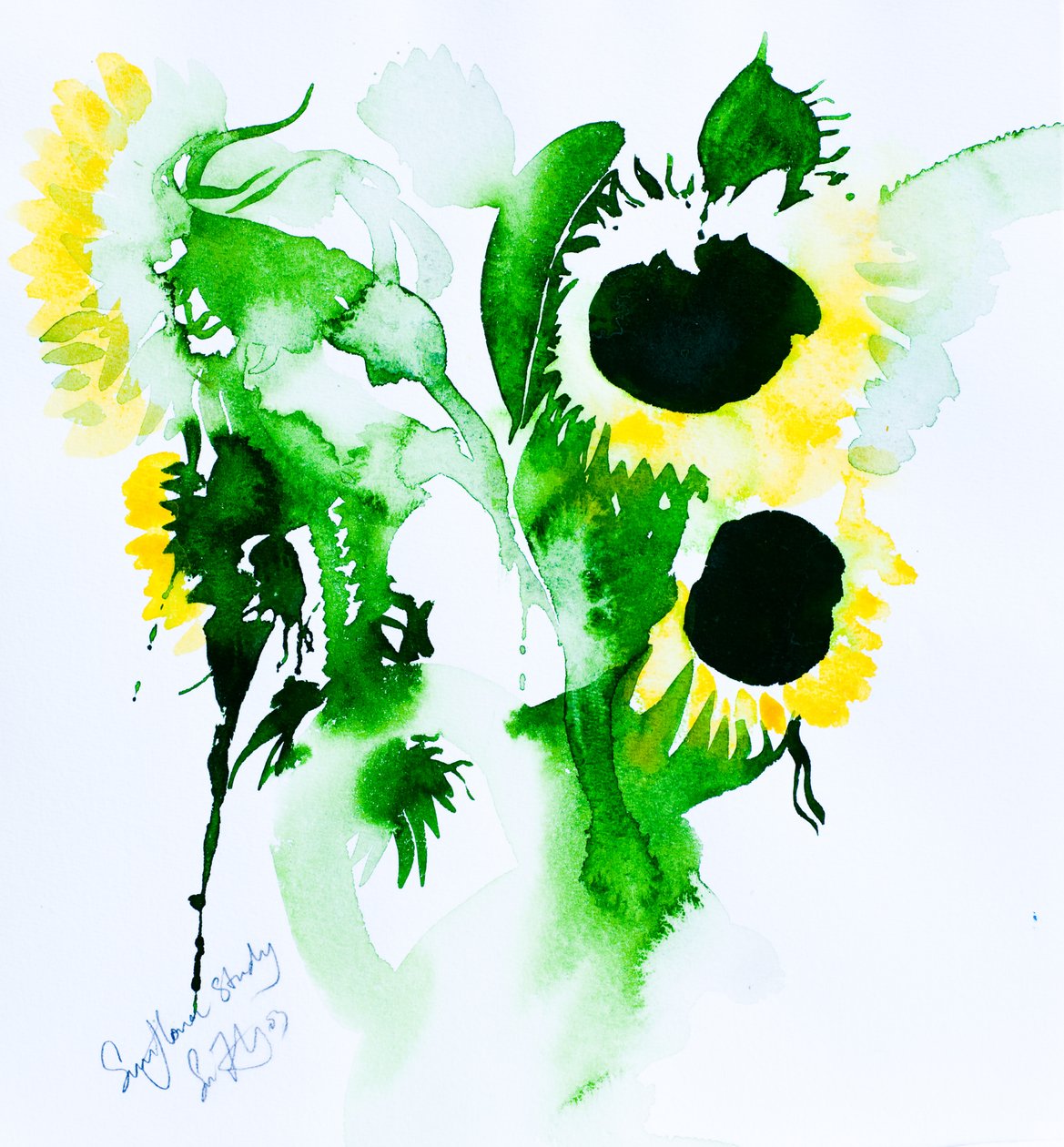 Auringonkukkatutkimus, 2005 (akvarelli) tekijältä Simon Fletcher