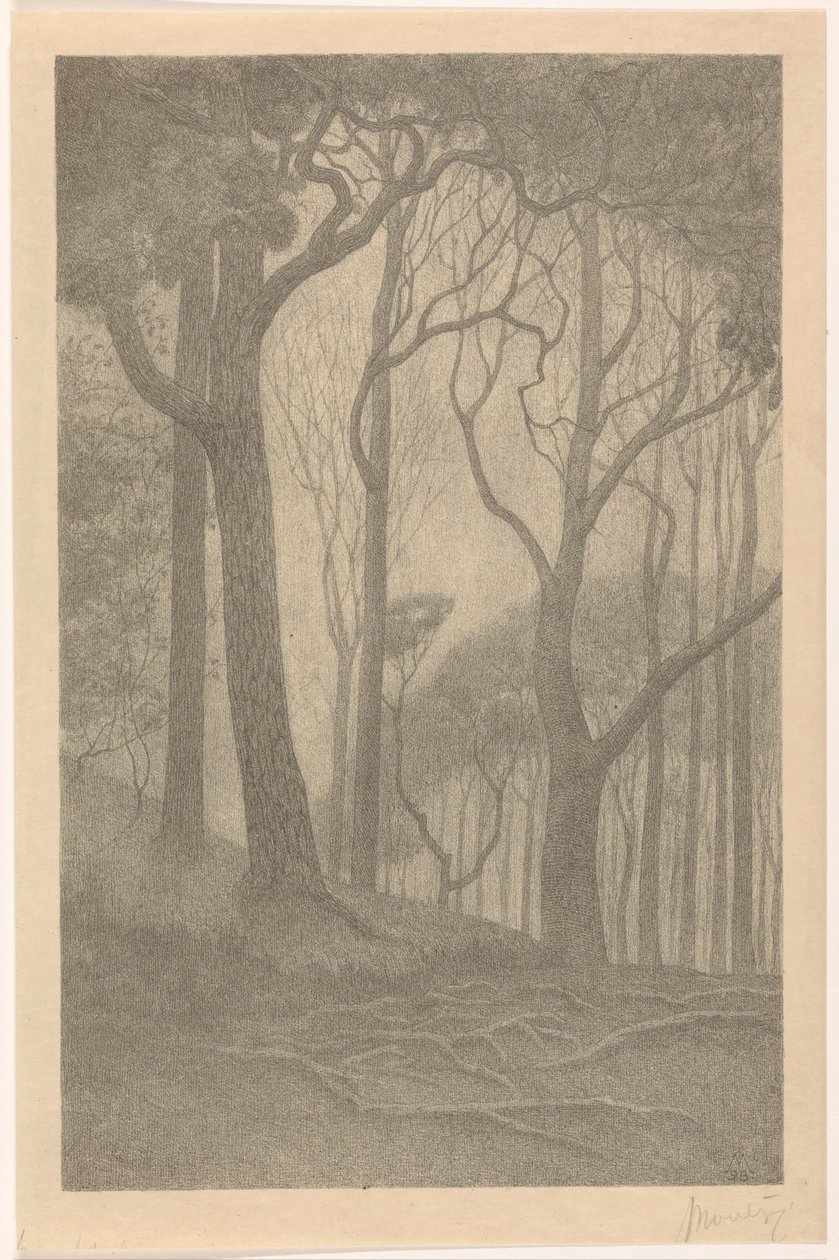 Bomen (alkuperäinen nimi) tekijältä Simon Moulijn (signed by artist)