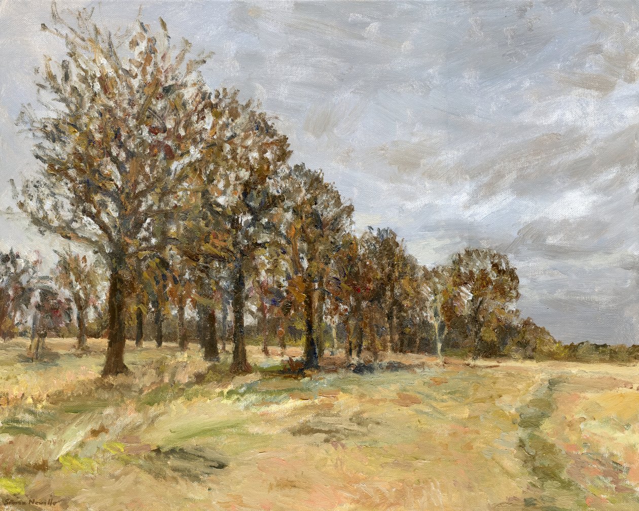 Metsä, Richmond Park nro 6, 2022 (öljy kankaalle) tekijältä Simon Neville