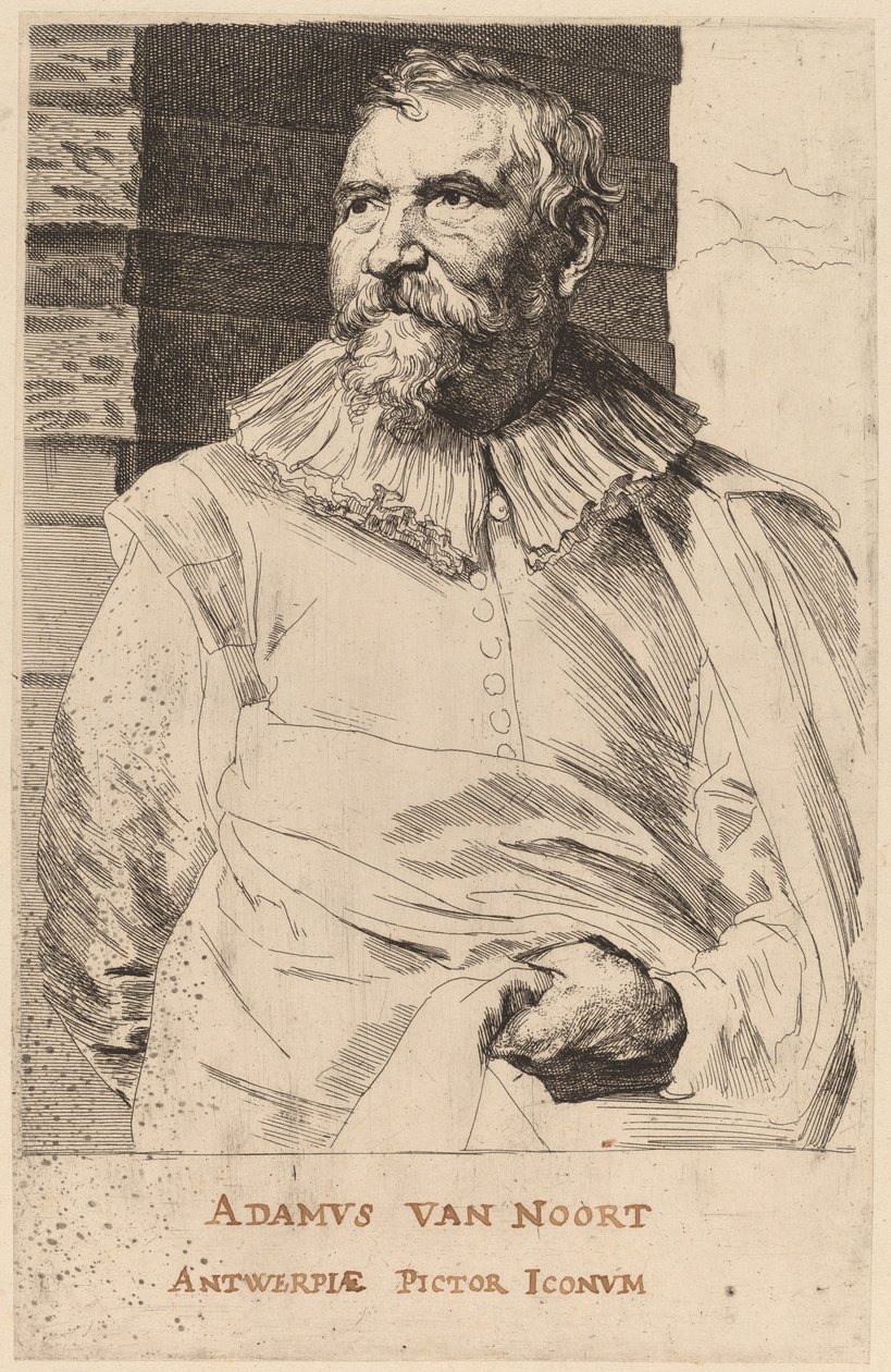 Adam van Noort tekijältä Sir Anthony van Dyck