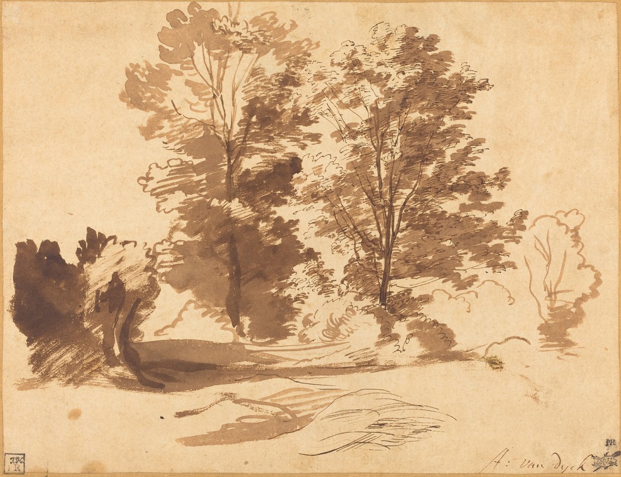 Puun reuna tekijältä Sir Anthony van Dyck