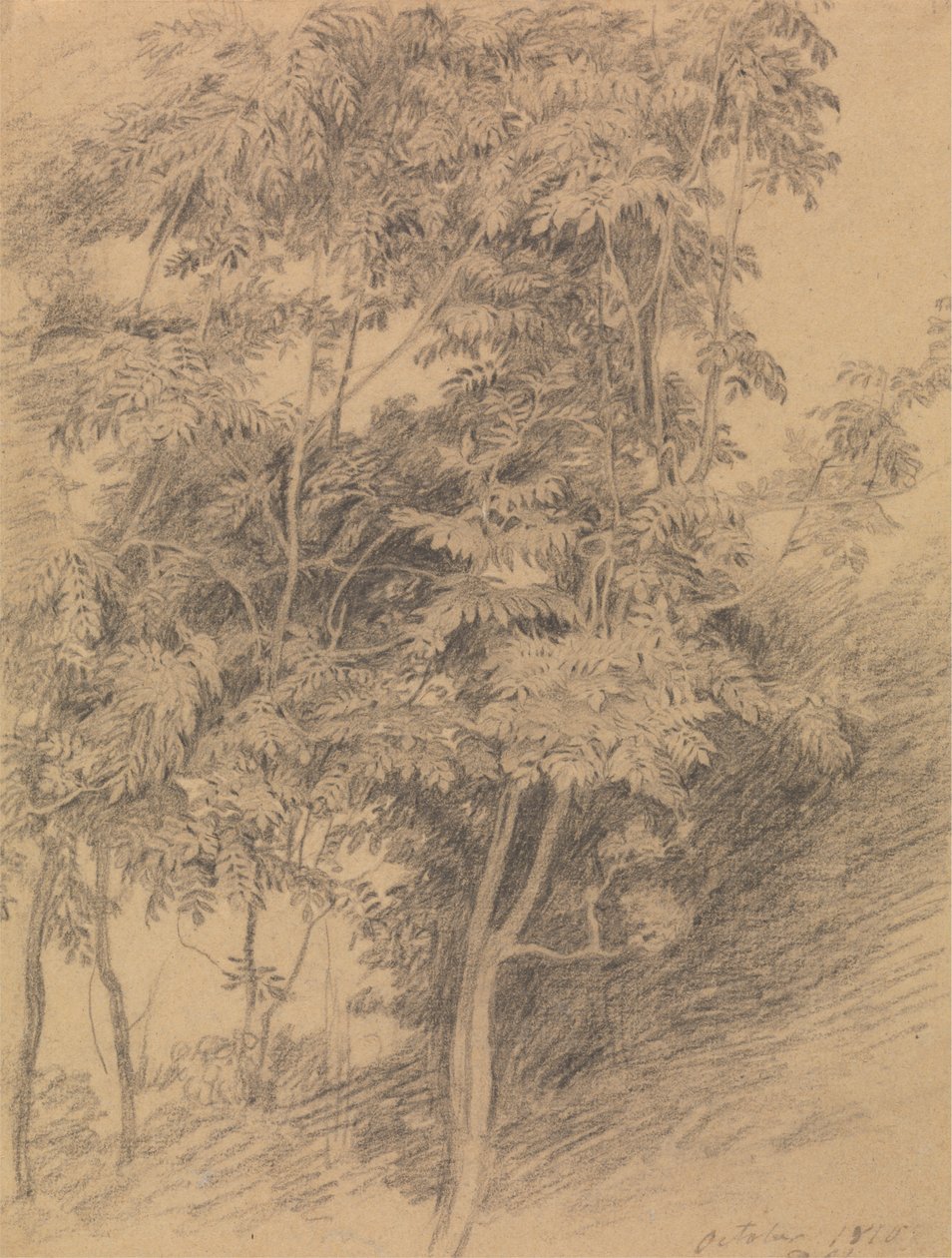 Estudo de Árvore finlandês tekijältä Sir David Wilkie
