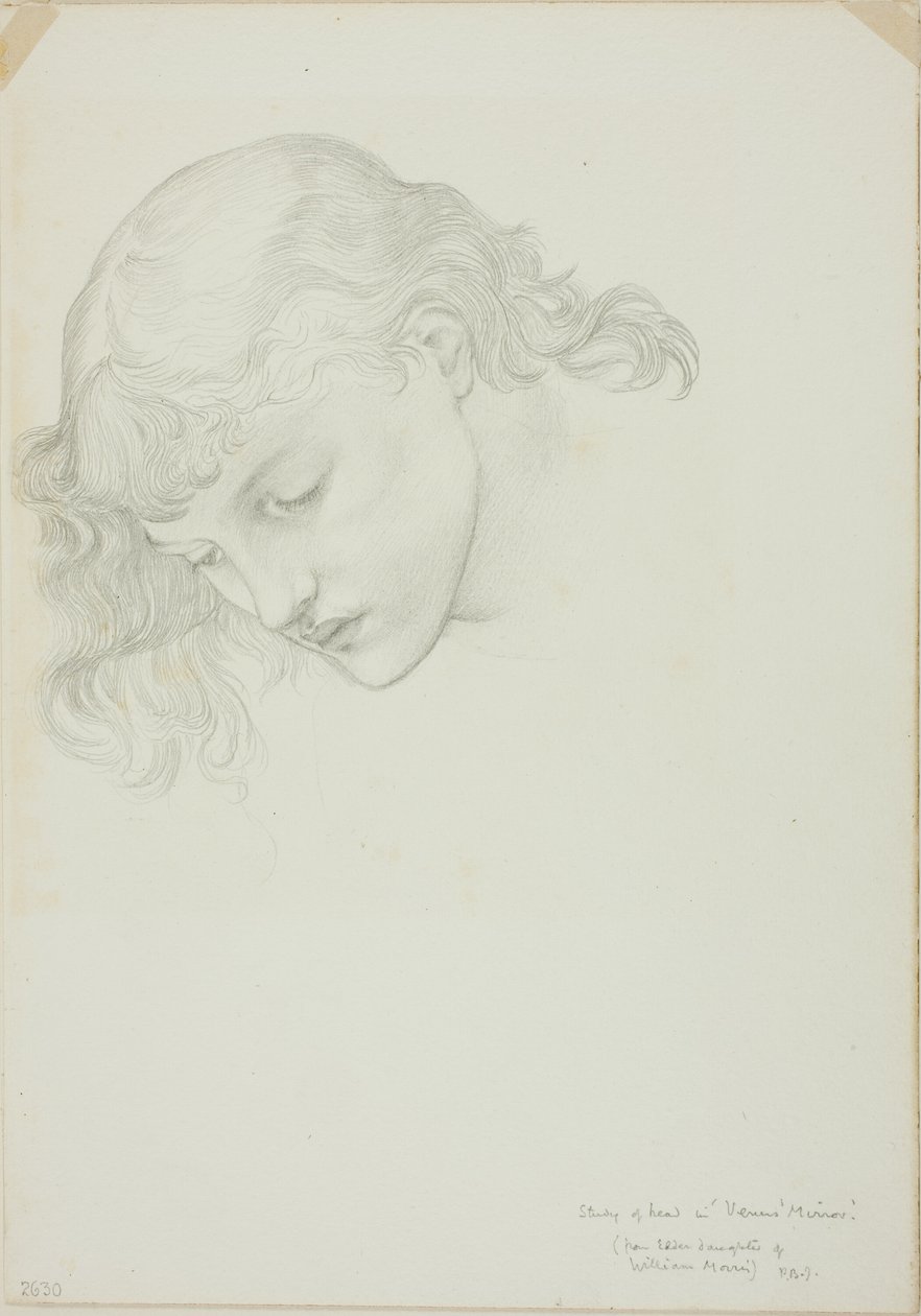 Head, Study for Mirror of Venus tekijältä Sir Edward Burne Jones