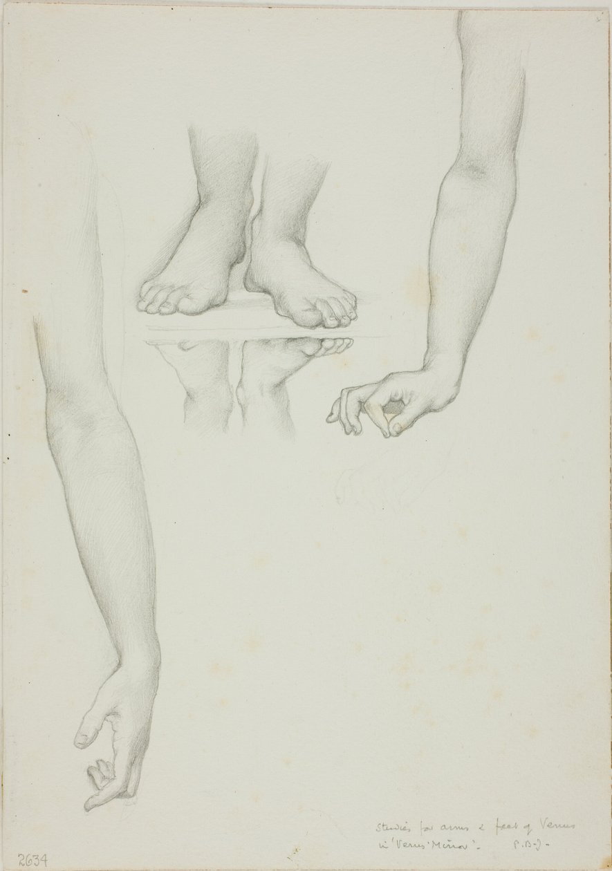 Tutkimus Venuksen peilistä: Venuksen kädet ja jalat tekijältä Sir Edward Burne Jones