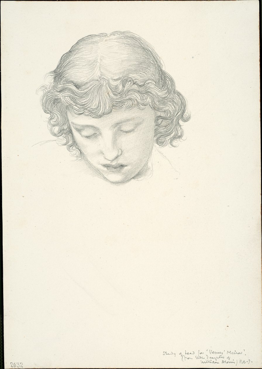 Tutkimus Venuksen peilistä: Pää tekijältä Sir Edward Burne Jones