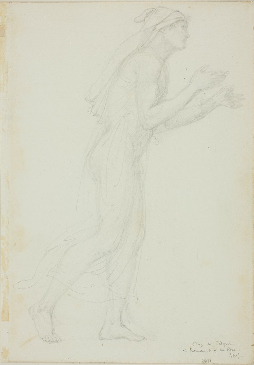 Tutkimus Pilgrim in Romaunt of the Rose tekijältä Sir Edward Burne Jones