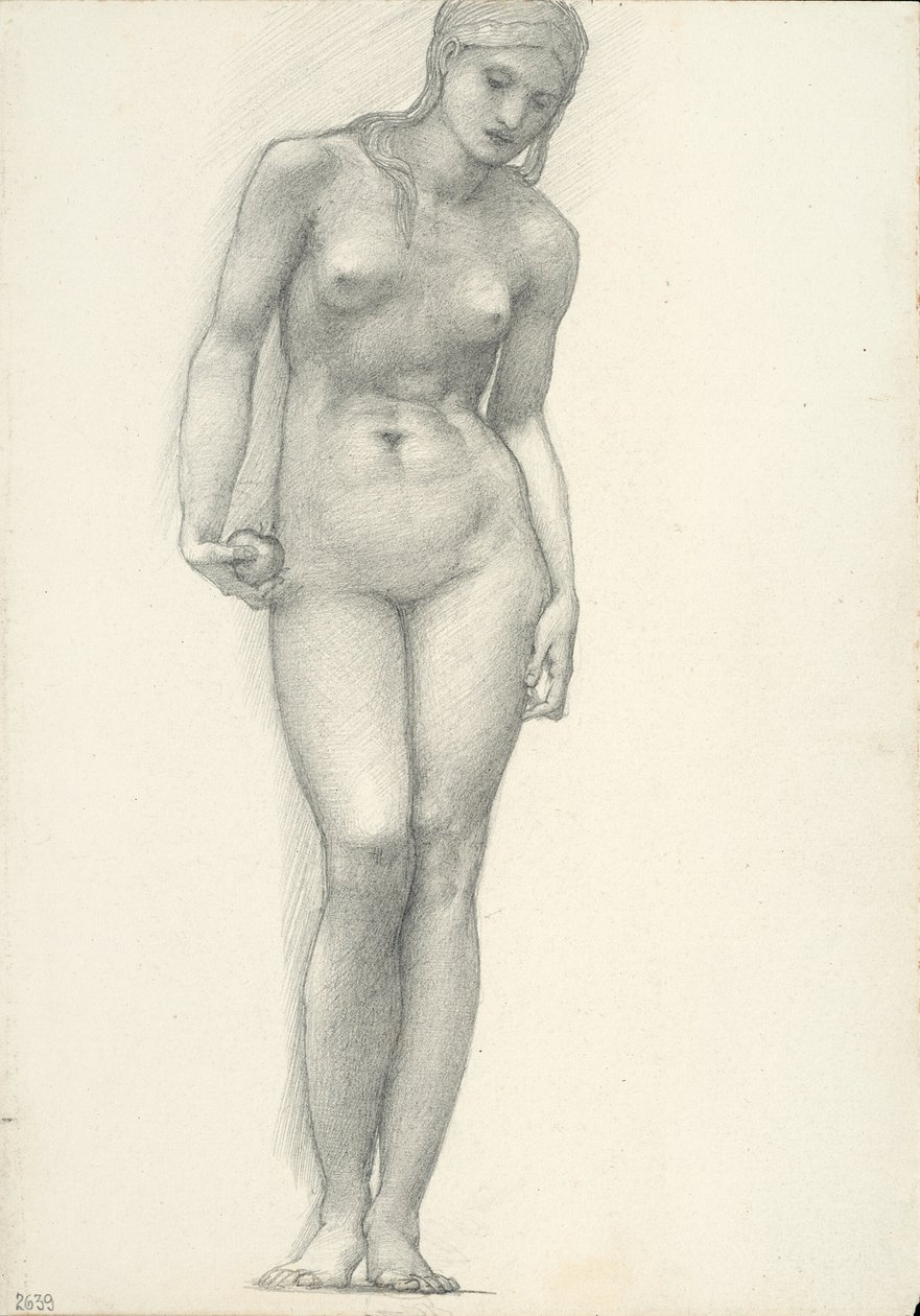 Venus ja kultainen omena oikeassa kädessä, Troijan triptyykille (luonnoskirja #2639) tekijältä Sir Edward Burne Jones