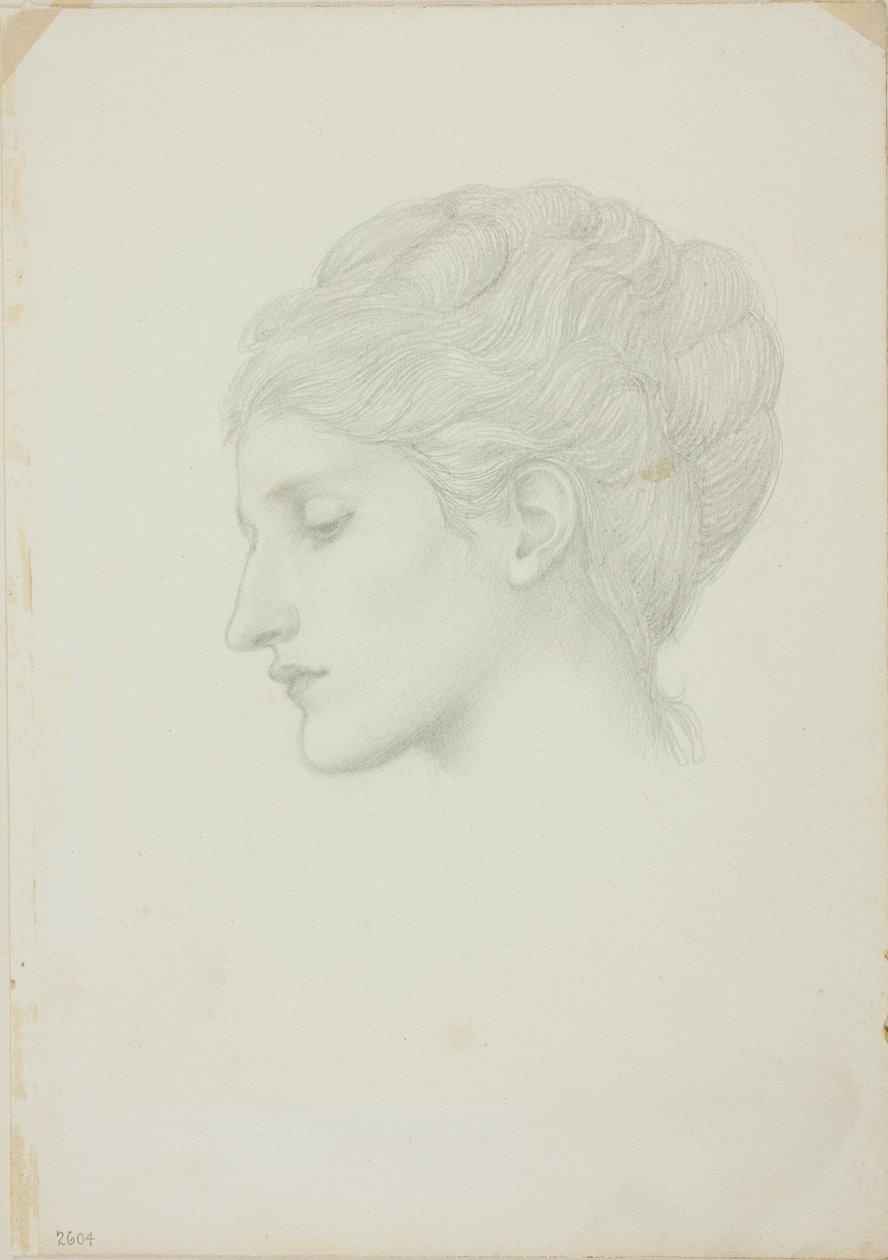 Naisen pää profiilissa vasemmalle tekijältä Sir Edward Burne Jones
